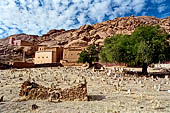 Marocco meridionale - Escursione nella valle di Ameln - villaggio nei pressi di Tafraoute, le case sono costruite su enormi rocce e la caratteristica moschea rossa. 